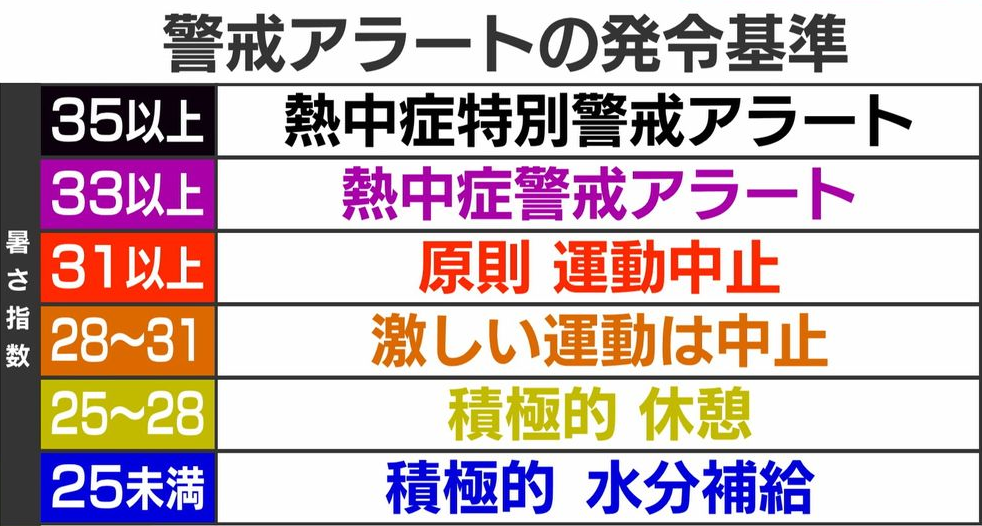 中野区議会議員 自民党 武井まさき