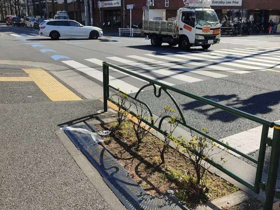 中野区議会議員 自民党 武井まさき